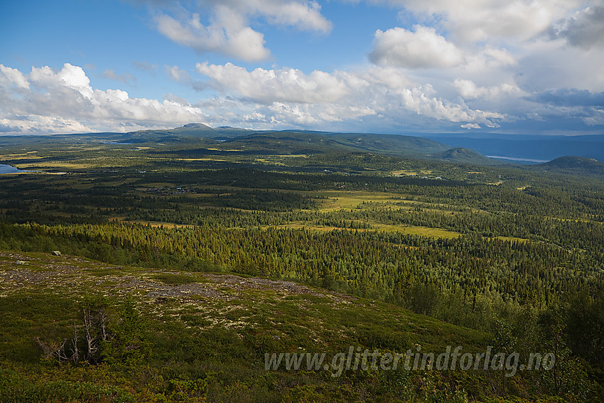 På vei mot Gravfjellet med utsikt sørover.