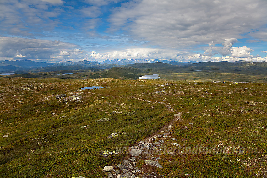 Oppunder Kjølafjellet med utsikt i retning Brummaknappen og Jotunheimen.