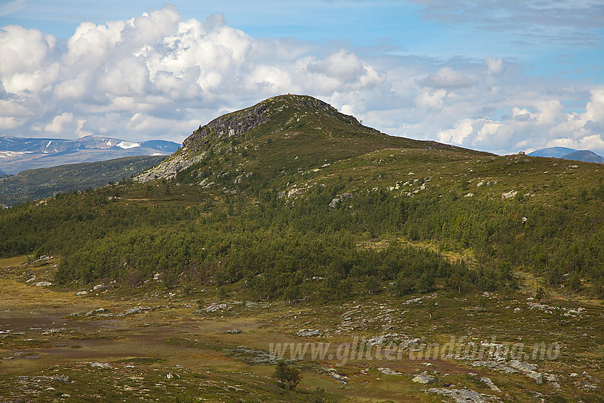 På vei mot Brummaknappen (1150 moh) fra sørøst.