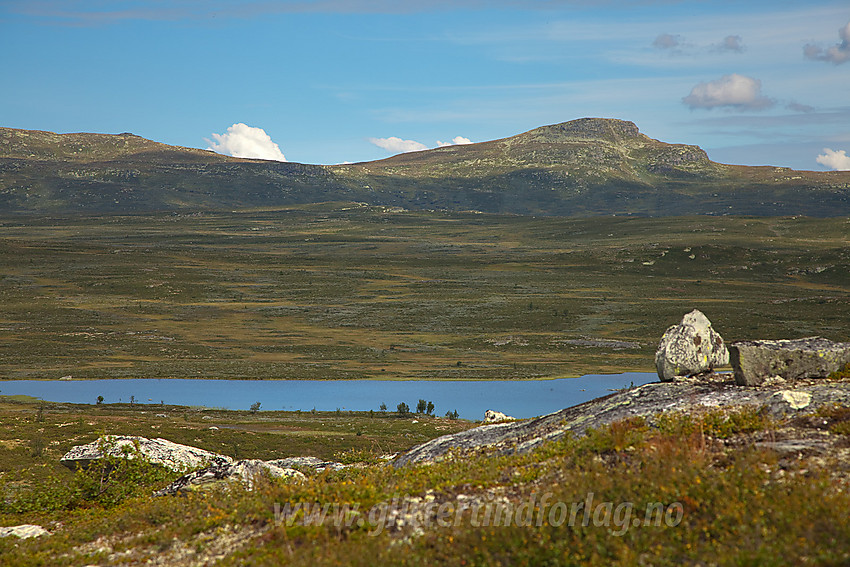 På sadelen mellom Brummaknappen og Kjølafjellet mot Nørre Kjølen og Svarthamaren (1471 moh).