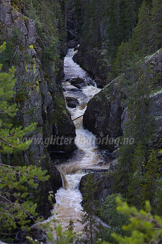 Mot Kverviljuvet (Hølerajuvet) i Sør-Aurdal.