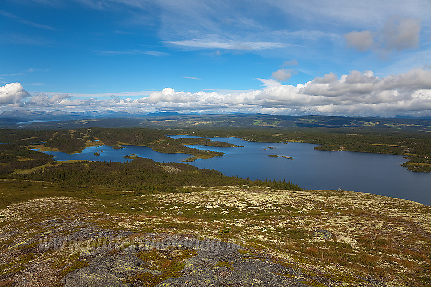 Fra Haugsetfjellet mot Hærvevatnet.