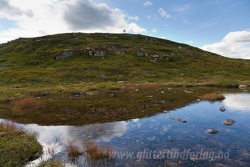 Hollastølsfjellet (1174 moh) i Sør-Aurdal.