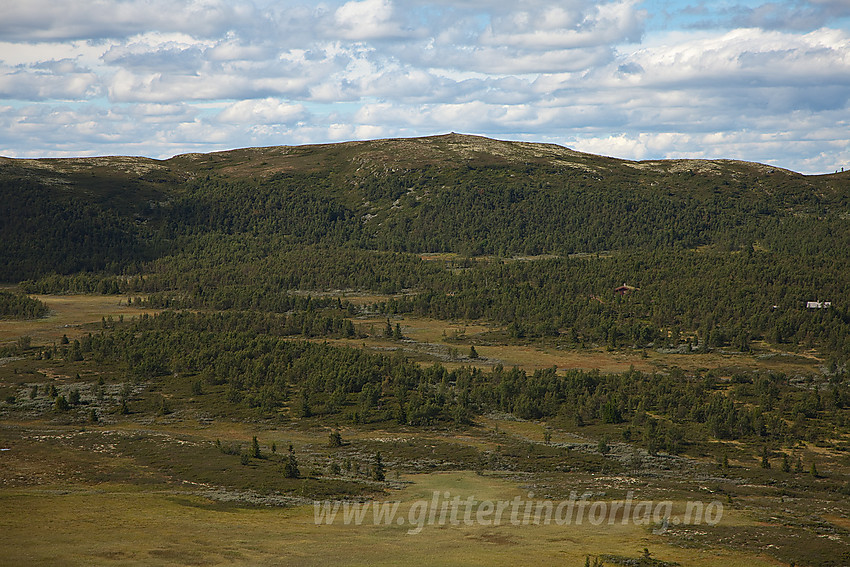 Fra ryggen mellom Hollastølsfjellet og Sangeknatten mot Haugsetfjellet (1152 moh).