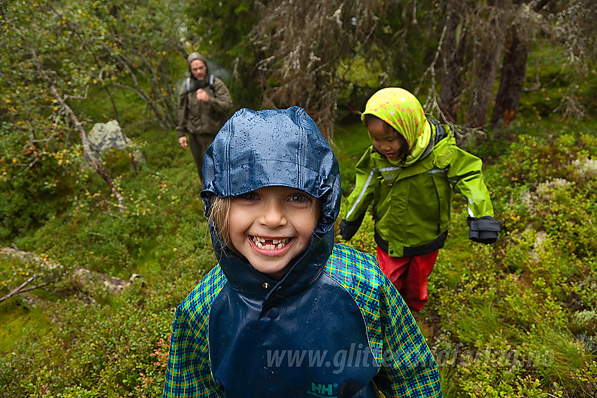 Skogstur ved Kvitingen mellom Sør- og Nord-Aurdal en kald og regntung dag.