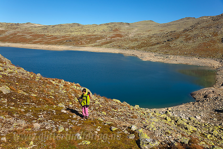 På vei fra Rysndalen/Herredalen mot Tomashelleren i Vang. Rysntjednet i bakgrunnen. Legg merke til hvor langt vannet er tappet ned til tross for at vi skriver september og høst.