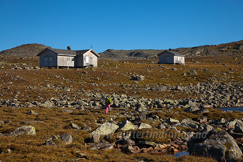 Ved Tomashelleren i Vangsfjella.