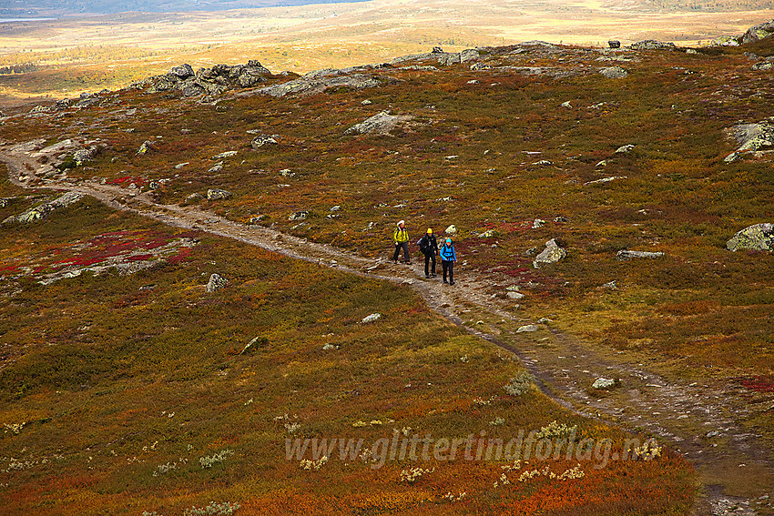 Fjellvandrere på vei til Grønsennknipa.