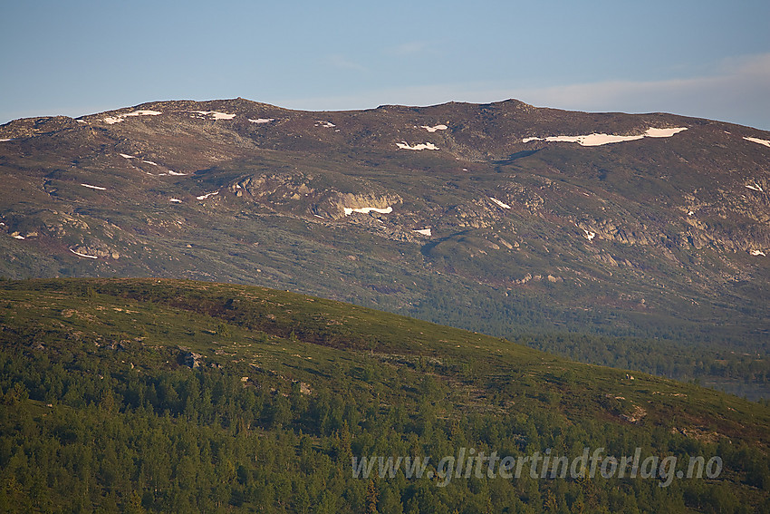 Fra Panoramaveien mot Grønsennknipa (1368 moh) med telelinse en sommermorgen.