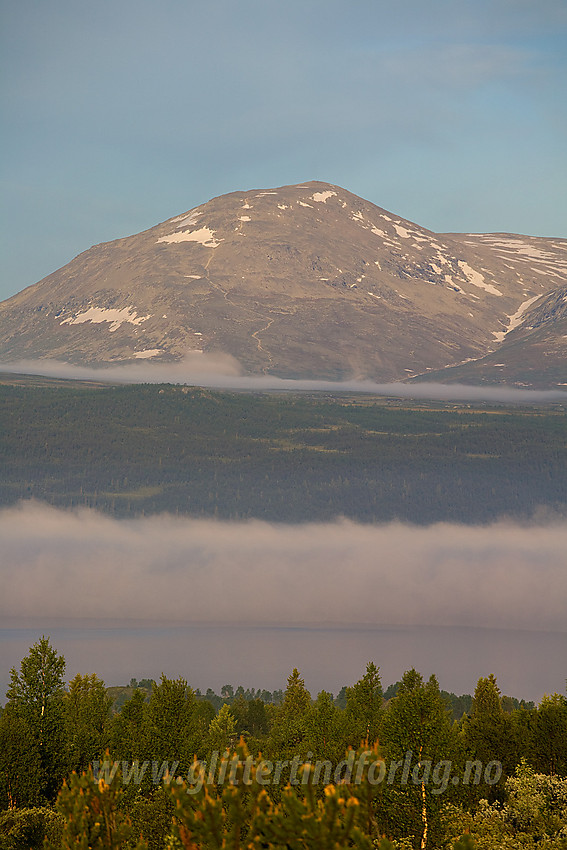 Fra Panoramaveien mot Skogshorn (1728 moh) med telelinse en sommermorgen.