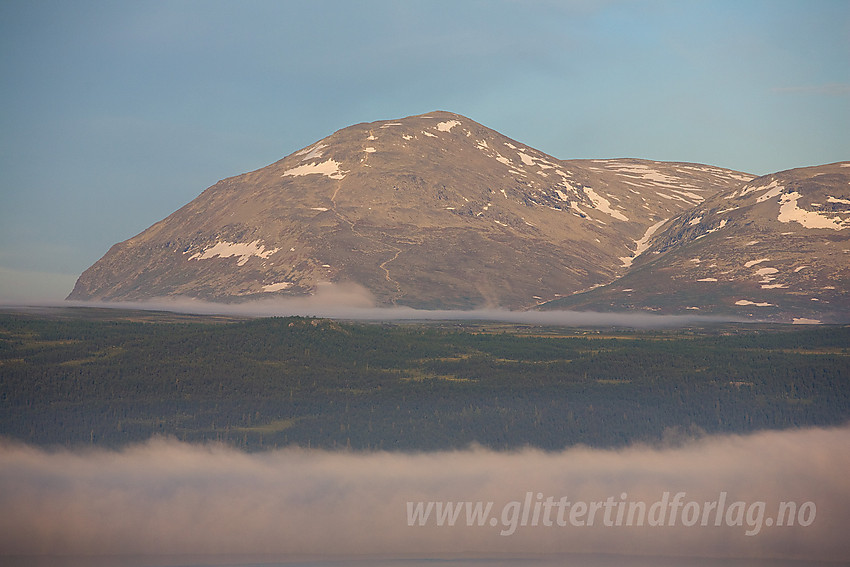 Fra Panoramaveien mot Skogshorn (1728 moh) med telelinse en sommermorgen.