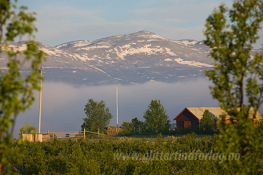 Fra Panoramaveien mot Veslebottenskarvet (1778 moh) med telelinse en sommermorgen.