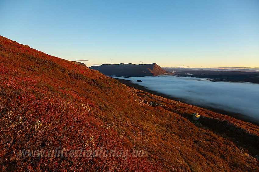 På vei oppover Bukonefjellet på tur til Gråkampen en flott høstmorgen med Nøsakampen og Gilafjellet i bakgrunnen.