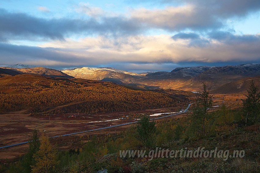 På vei opp fra Kyrkjestølen med utsikt over høstglødende fjellandskap på Filefjell.