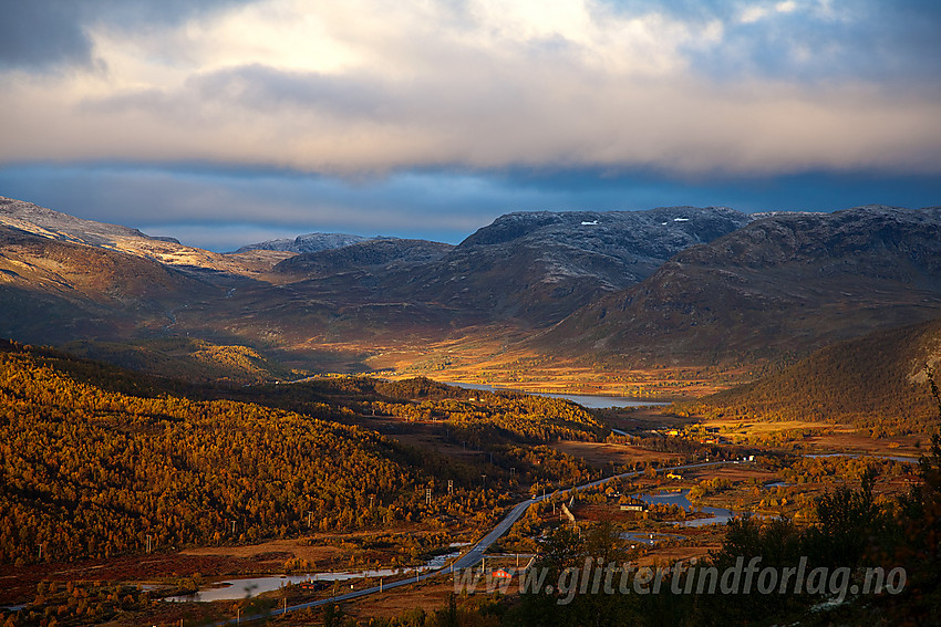 På vei opp fra Kyrkjestølen med utsikt over høstglødende fjellandskap på Filefjell.