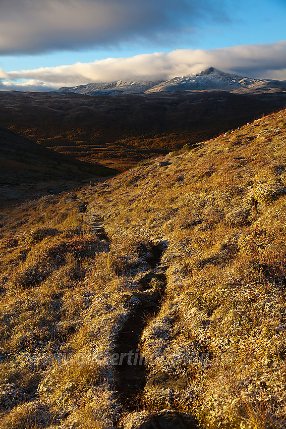 På vei opp fra Kyrkjestølen med kurs mot Slettningen og Sletningsbu med tilbakeblikk mot Suletinden (1780 moh).