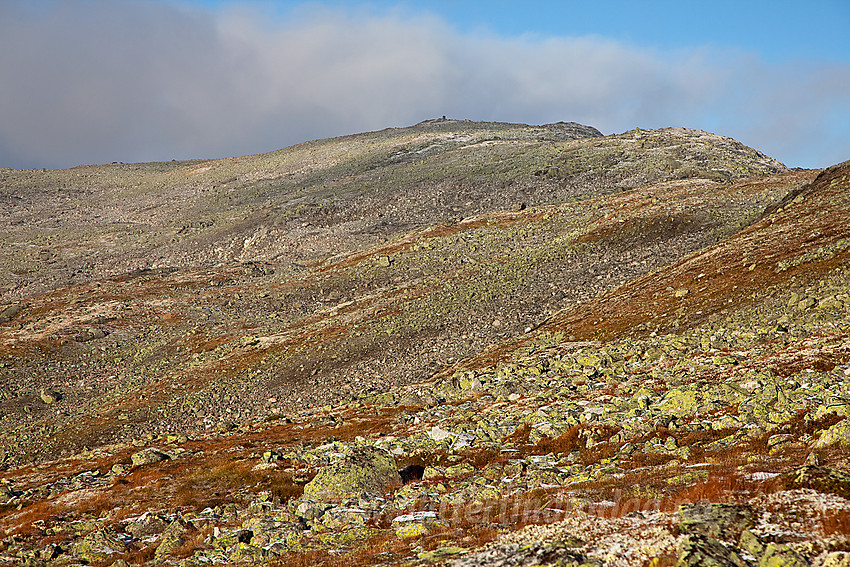 Slettningsegge (1524 moh) sett fra øst.