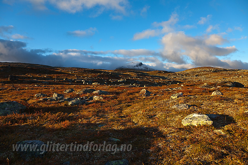 På tur fra Nystuen mot Sulebu med Suletinden (1780 moh) i bakgrunnen.