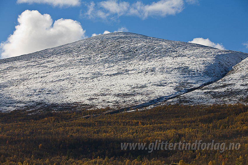 Fra Kvithaug mot fjellsiden i retning Storlifjellet og gjelet hvor Oksleåne kommer ned til høyre.