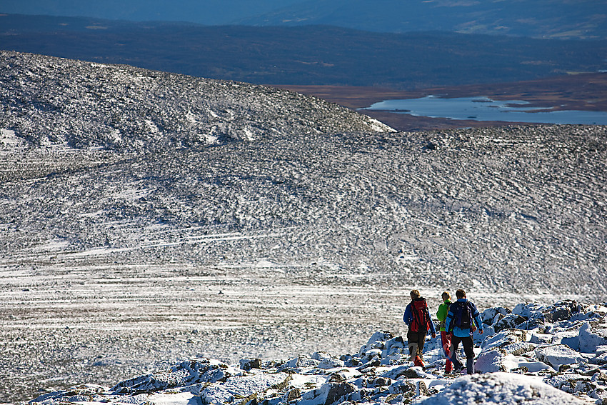 Fjellvandrere på vei ned fra Gråskarvet (1731 moh) i Vang.