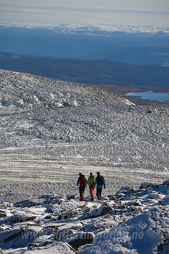 Fjellvandrere på vei ned fra Gråskarvet (1731 moh) i Vang.