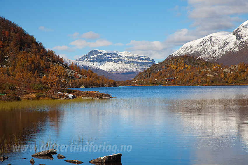 Ved Kvithaug i Vestre Slidre mot Grindane (1724 moh).