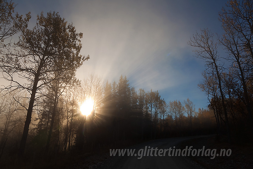 Sola bryter gjennom tåka i skogen en flott høstdag langs Helinveien.