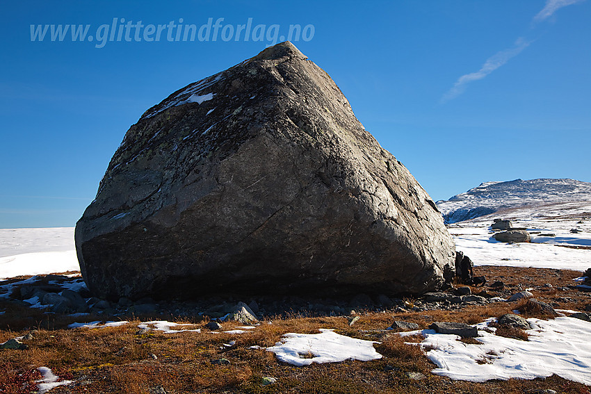 Hallingsteinen på Smådalsfjellet/Storlifjellet er et artig landemerke på det ellers flate viddelandskapet.