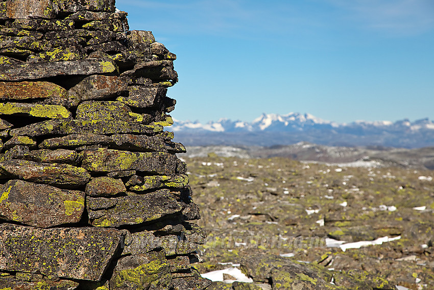 På toppen av Storebottegge (1829 moh) med Jotunheimen vagt i bakgrunnen.