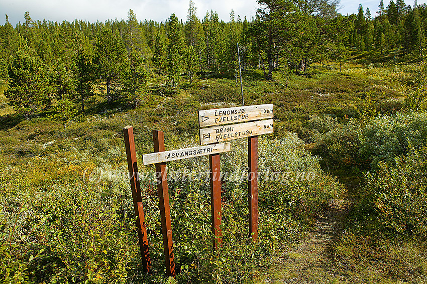 Skilt ved like ved Åsvangsætre. Herfra går angivelig merket sti over til Lemonsjø Fjellstue, men den blir nok lite benyttet, derfor noe usikkert hvor tydelig den eventuelt er.