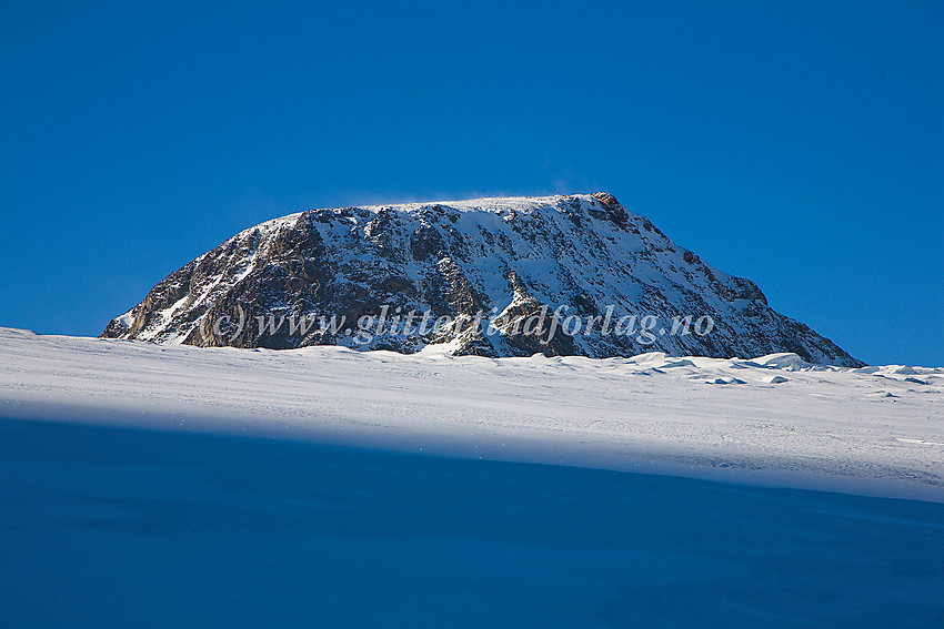 På Veobrean med Veobreatinden (2183 moh.) i bakgrunnen. Litt snøføyke over toppen vitner om at det ikke akkurat er helt vindstille i høyde.