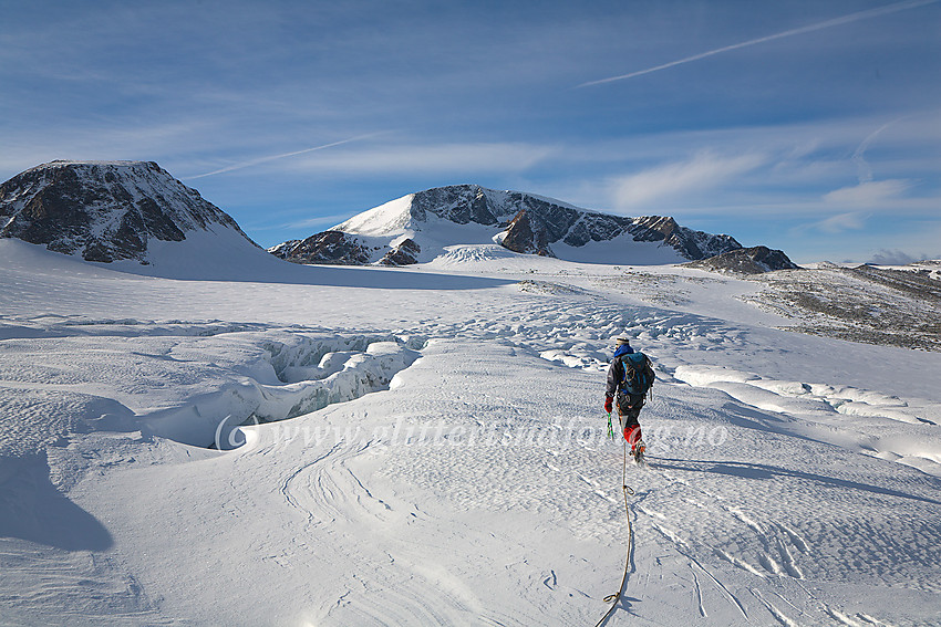 Brevandring på Veobrean. I bakgrunnen til venstre ses Veobreatinden (2181 moh.) med Leirhøe (2330 moh.) sentralt. Innunder østveggen på Leirhøe er Veobreahesten (2185 moh.)