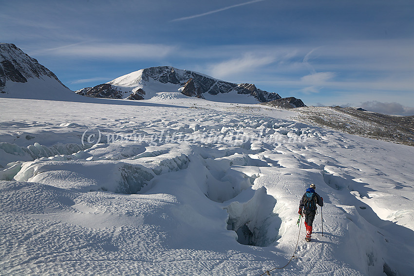 Brevandring på Veobrean gjennom et temmelig oppsprukket parti med Leirhøe (2330 moh.) som dominerende fjell i bakgrunnen.