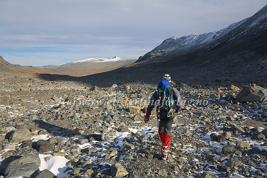 På retur fra Veobrean i morenelandskapet like nedenfor breen. I bakgrunnen kvitner Nautgardstinden (2258 moh.) mot himmelranda.