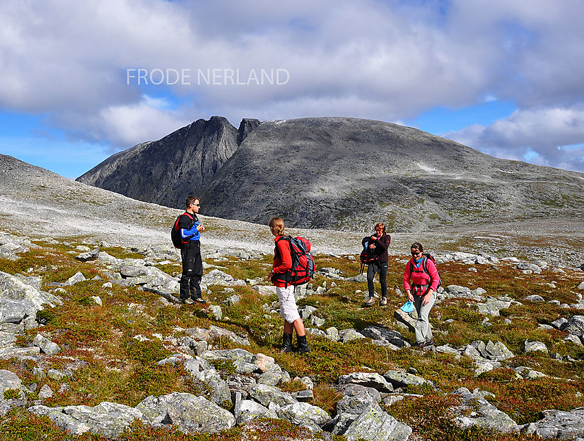 På vei til Jønnstadkollen. Hjellbønebba i bakgrunnen.