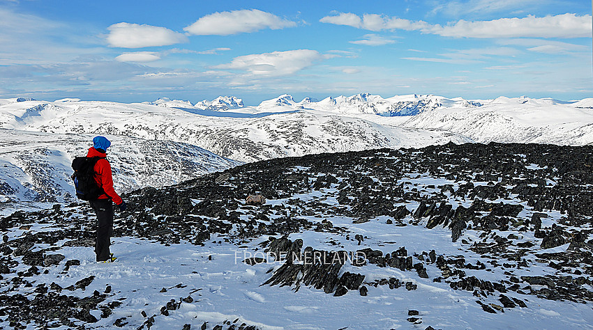 Fra navnløs topp(1626moh.)mellom Kvitådalshøa og Nonsfjellkollen mot Sunndalsfjella.