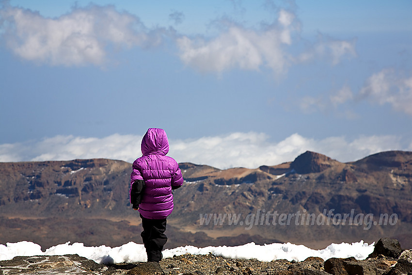 Utsikt fra liene oppunder Teide.