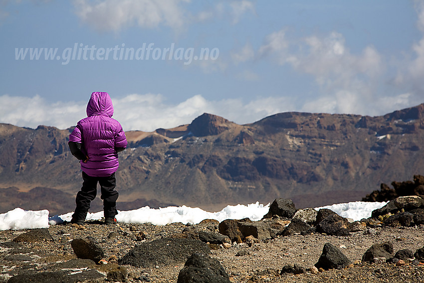 Utsikt fra liene oppunder Teide.