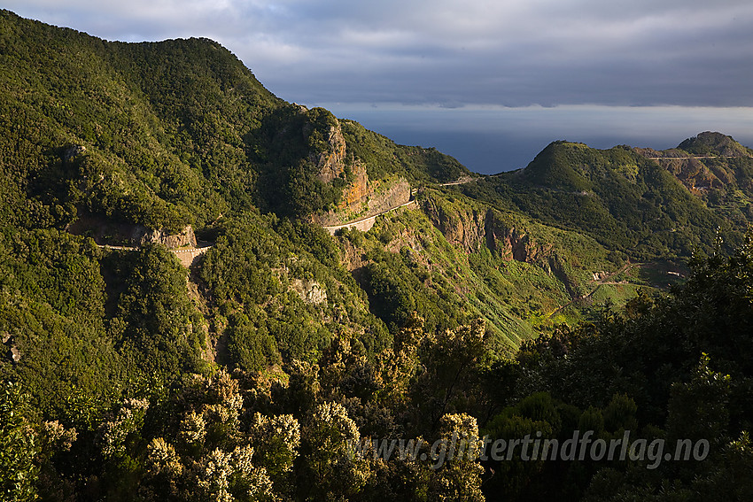 Landskap nordøst på Tenerife.