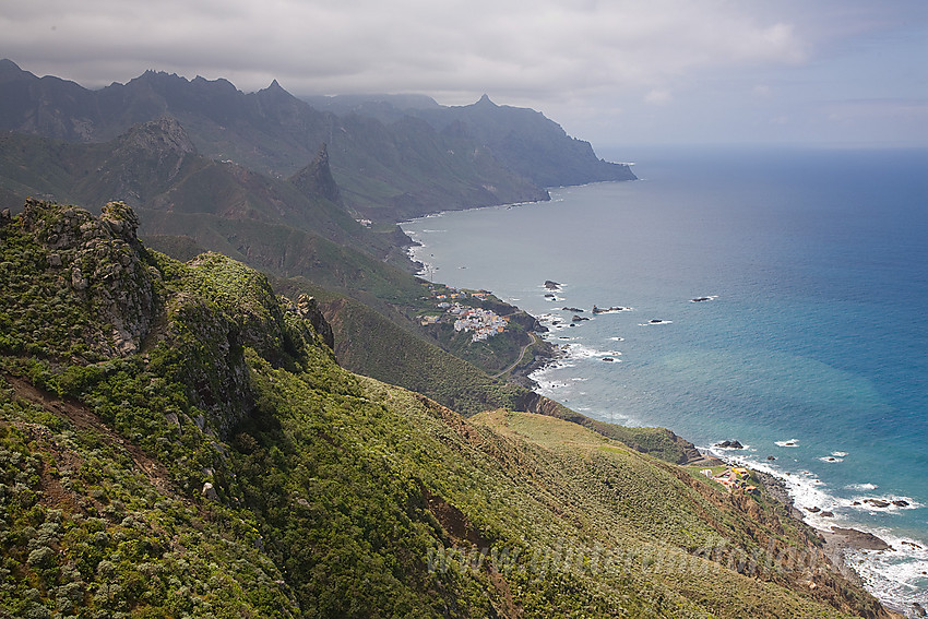 Landskap nordøst på Tenerife.