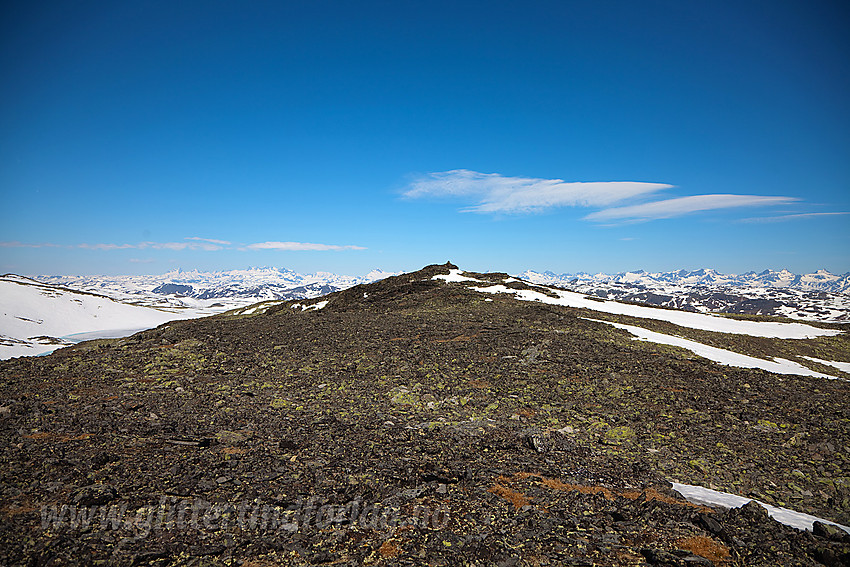 Toppen på Skutshorn med Jotunheimens tinderekker i bakgrunnen.