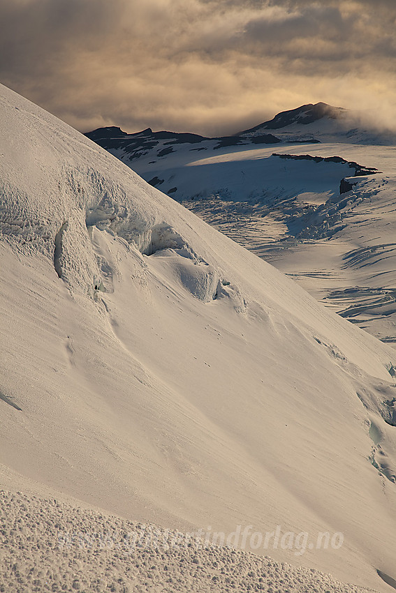 Fra Hakluyttoppen med utsikt ned en del av Kjerulfbreen.