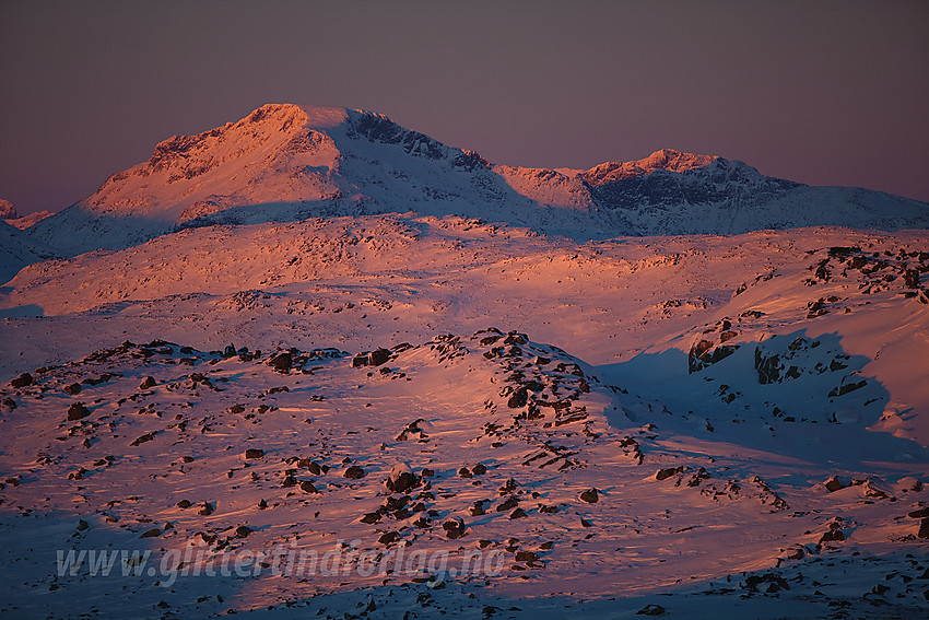 På Møsaryggene med Snøhølstinden (2141 moh) i bakgrunnen.