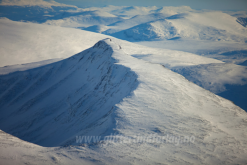 Ryggjehøe (2142 moh) sett fra lufta.