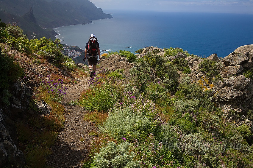 Vandring nordøst på Tenerife.