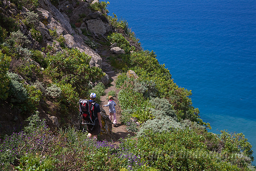 Vandring nordøst på Tenerife.