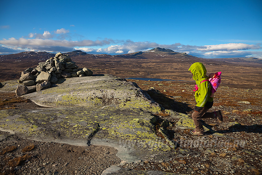 Siste jogg til topps på Kjølafjellet. Skaget i bakgrunnen.