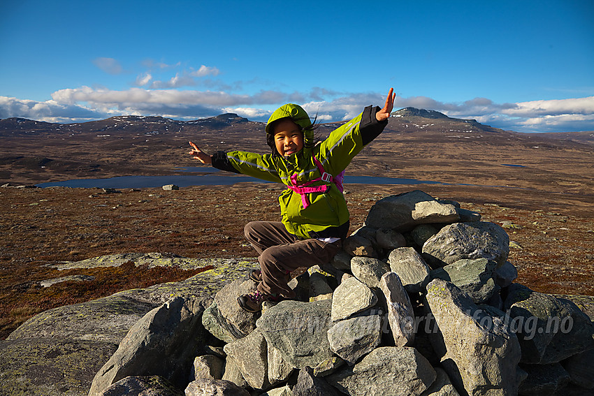 Fornøyd liten fjellvandrer på Kjølafjellet. I bakgrunnen Skreddalsfjellet, Svarthamaren og Skaget.