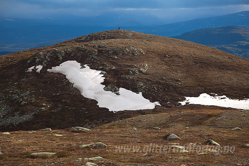 Utsikt fra Kjølafjellet mot Heimre Kjølafjellet (1211 moh).