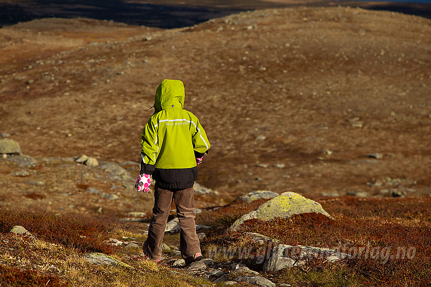 På vei ned fra Kjølafjellet mot sørøst.